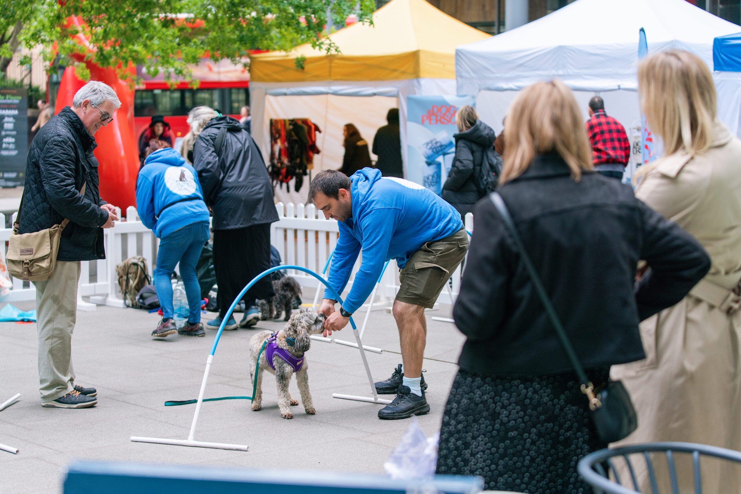 Pups in the Piazza Highlights